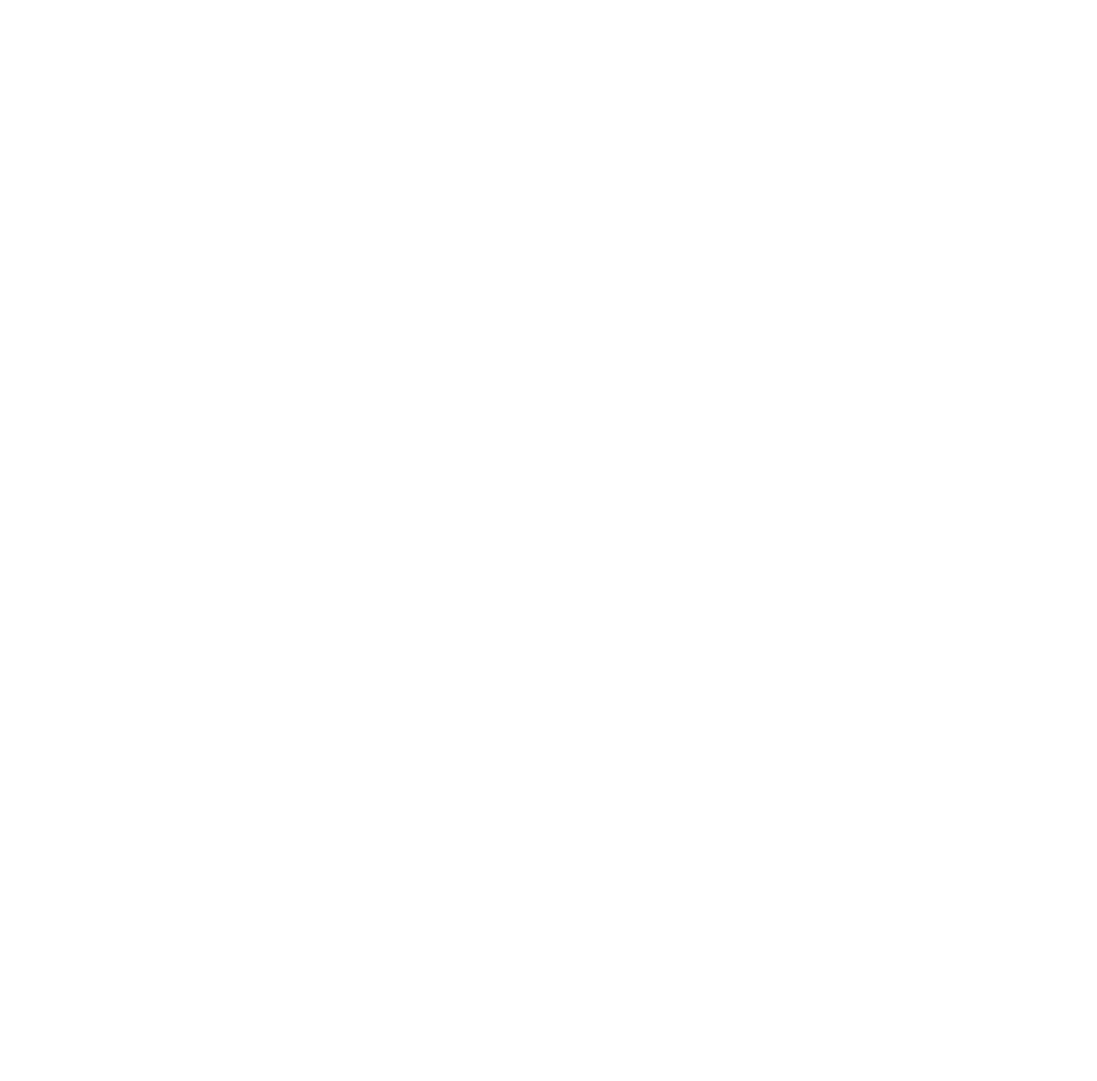 PASHAN Logo