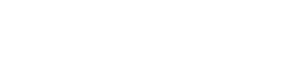 PASHAN Logo